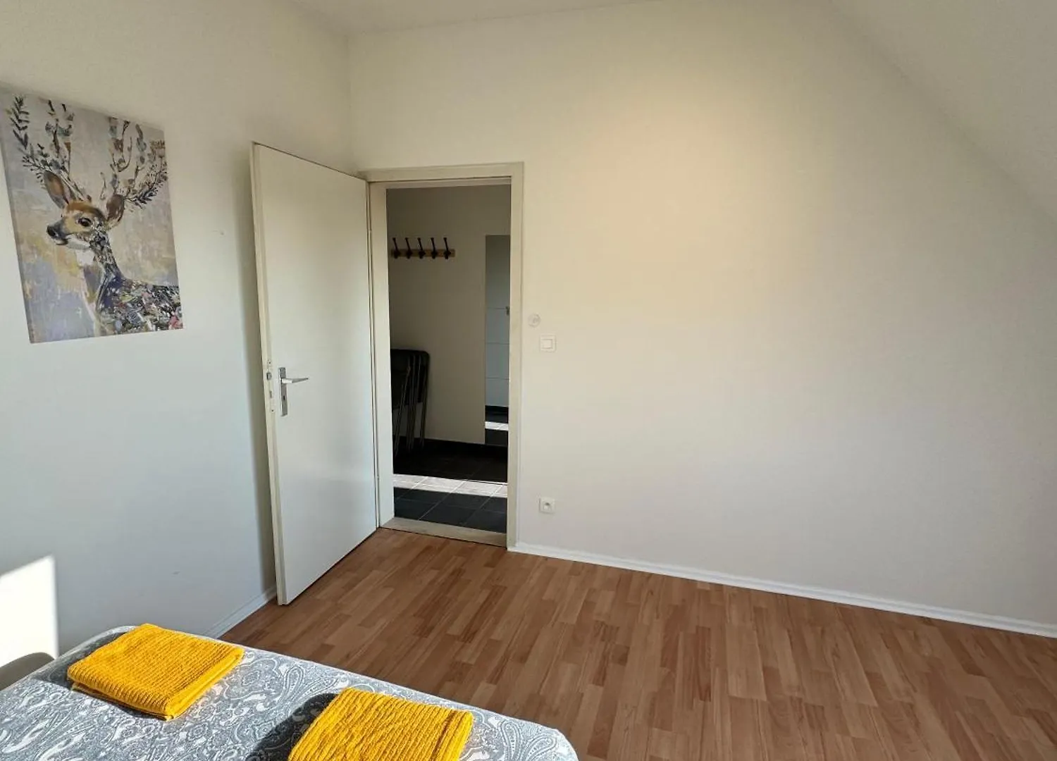 Bright Apartments In The Heart Of Antverpy