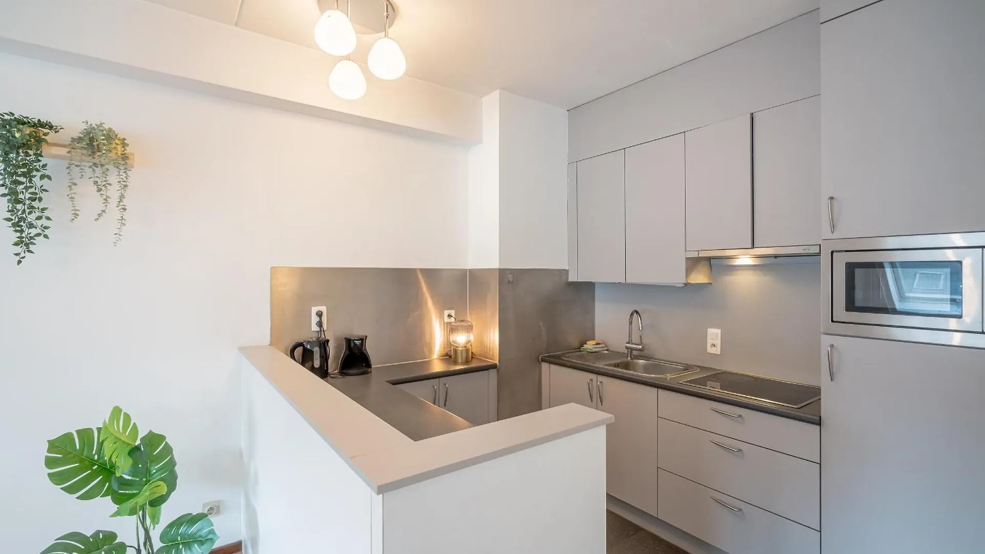 Bright Apartments In The Heart Of Antwerp Belgium