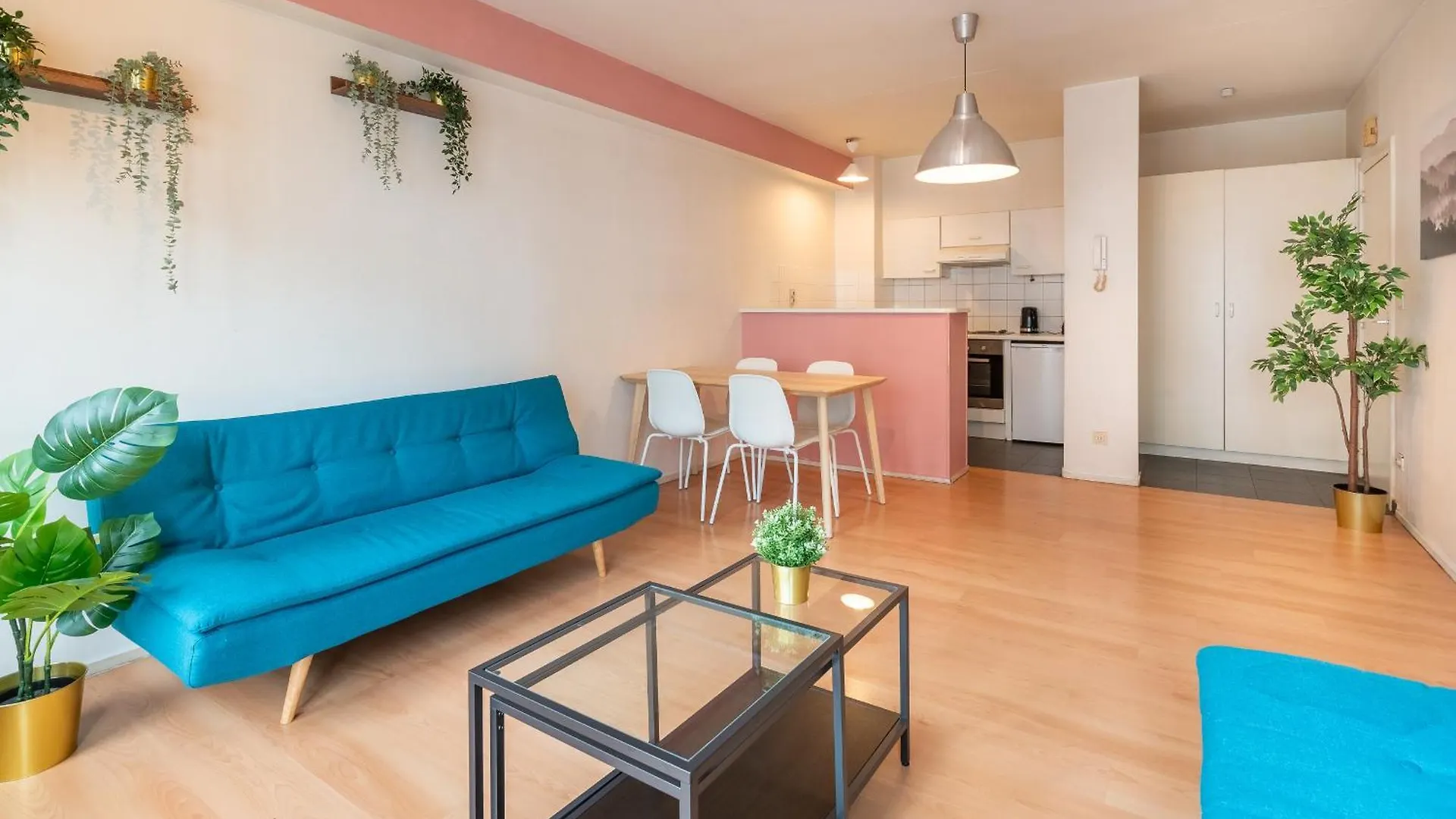 Bright Apartments In The Heart Of Antwerp