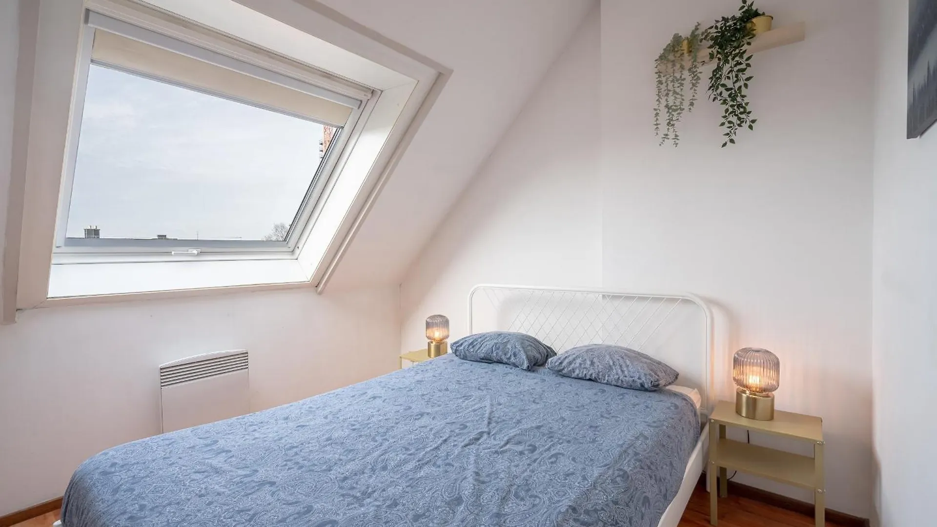 Bright Apartments In The Heart Of Antwerp