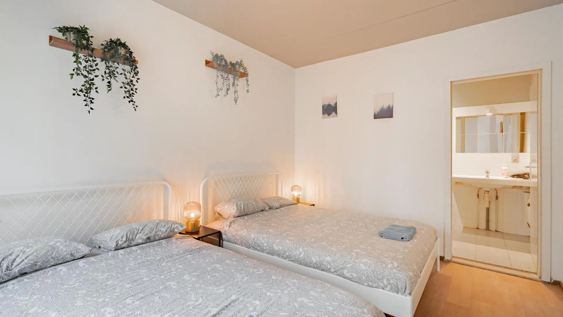 Bright Apartments In The Heart Of Antwerp