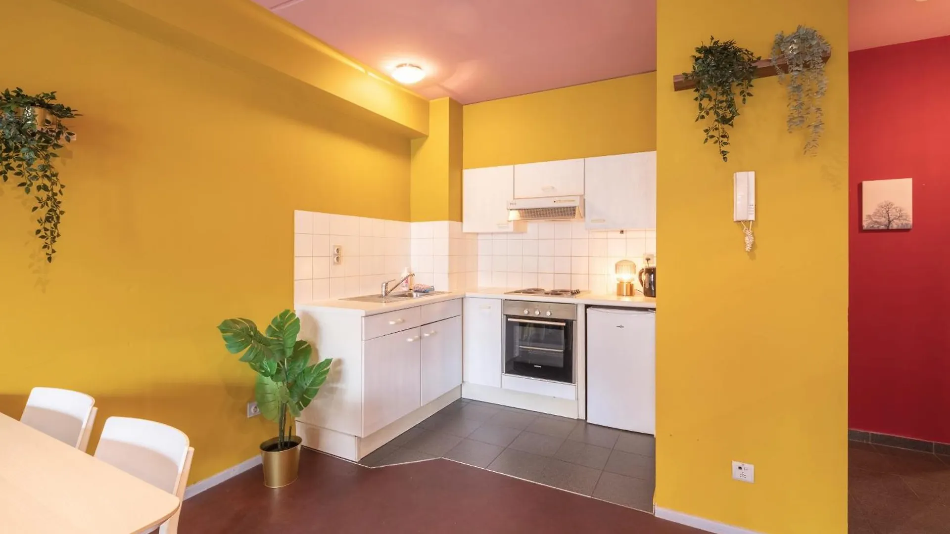 Bright Apartments In The Heart Of Antwerp