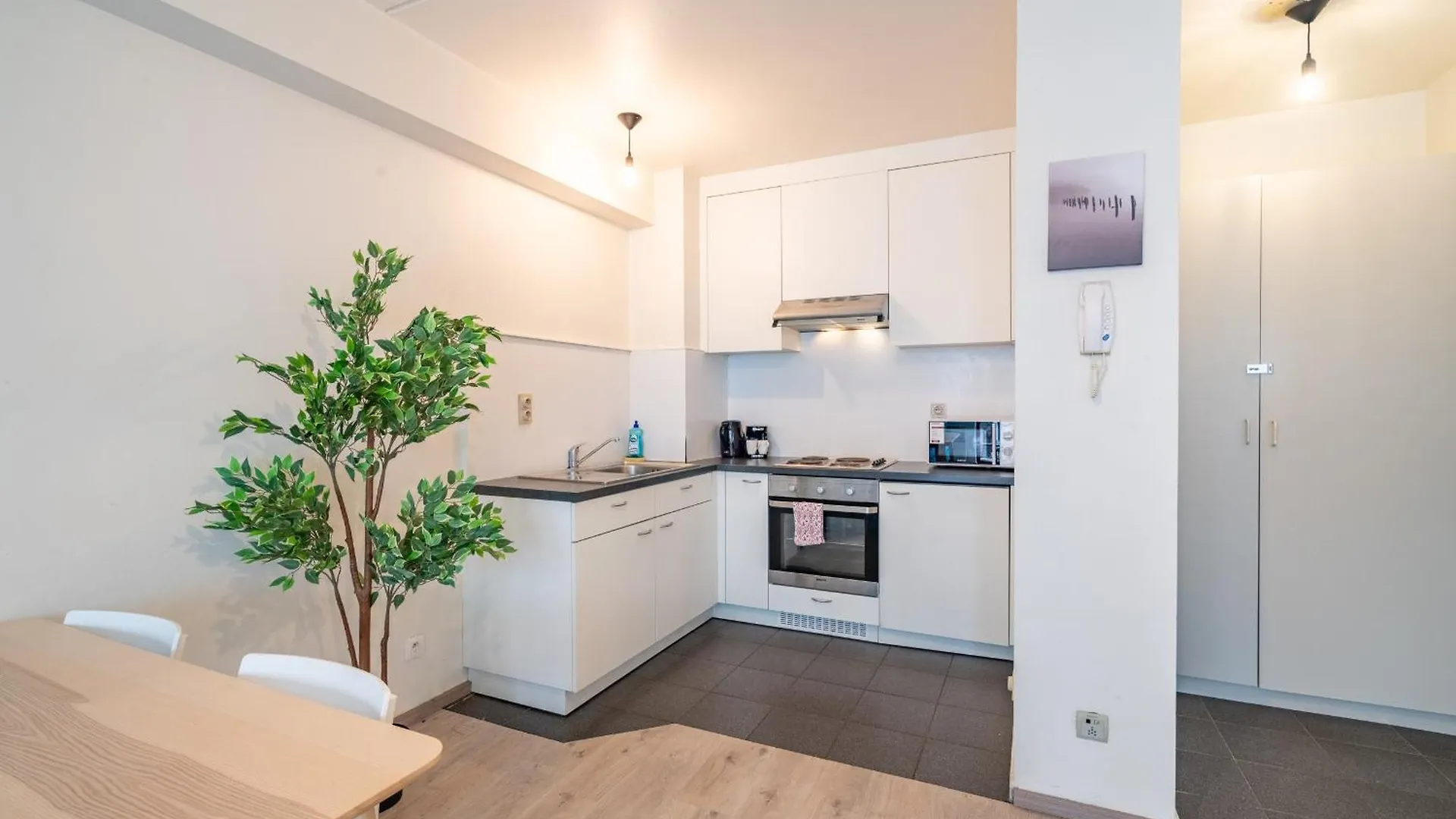 Bright Apartments In The Heart Of Antwerp
