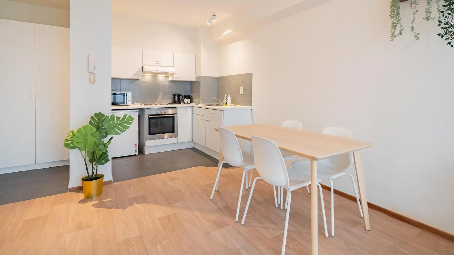 Bright Apartments In The Heart Of Αμβέρσα
