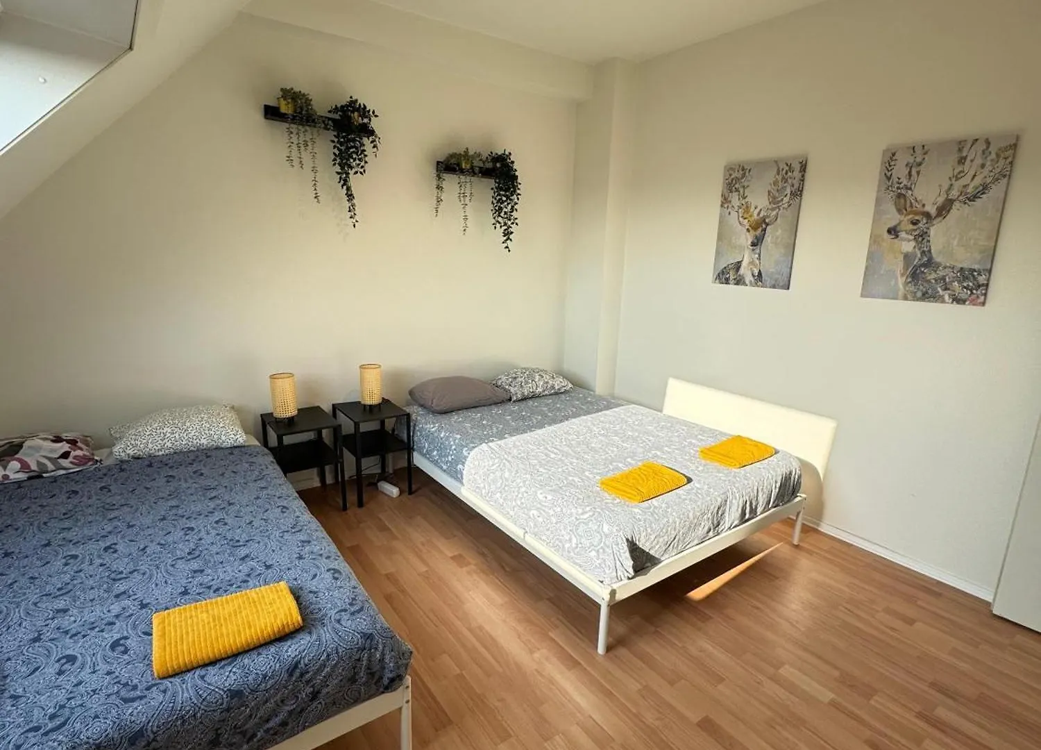 Bright Apartments In The Heart Of Αμβέρσα 0*,  Βέλγιο